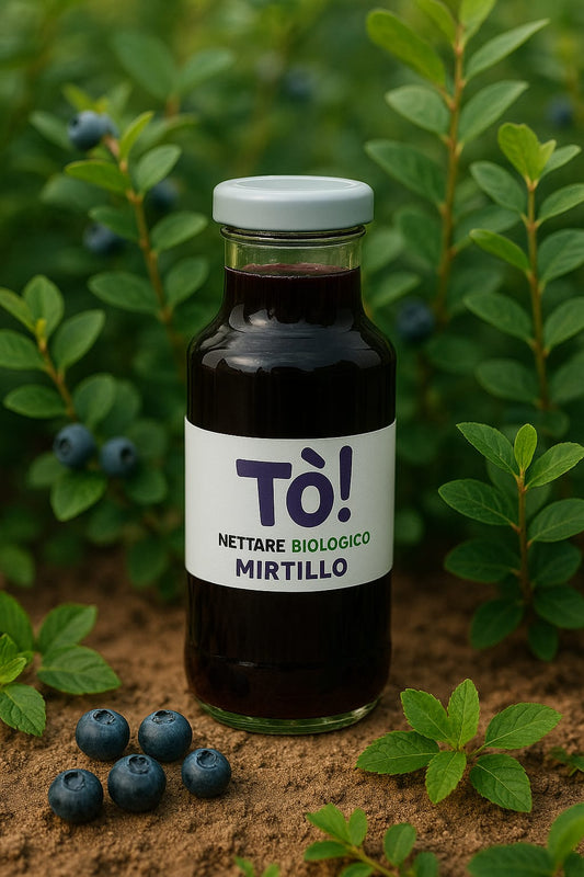 Nettare di Mirtillo BIO