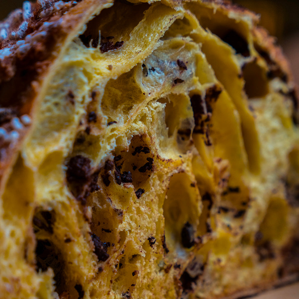 Colomba Coccolati (Cioccolato al Latte, Fondente e Bianco)