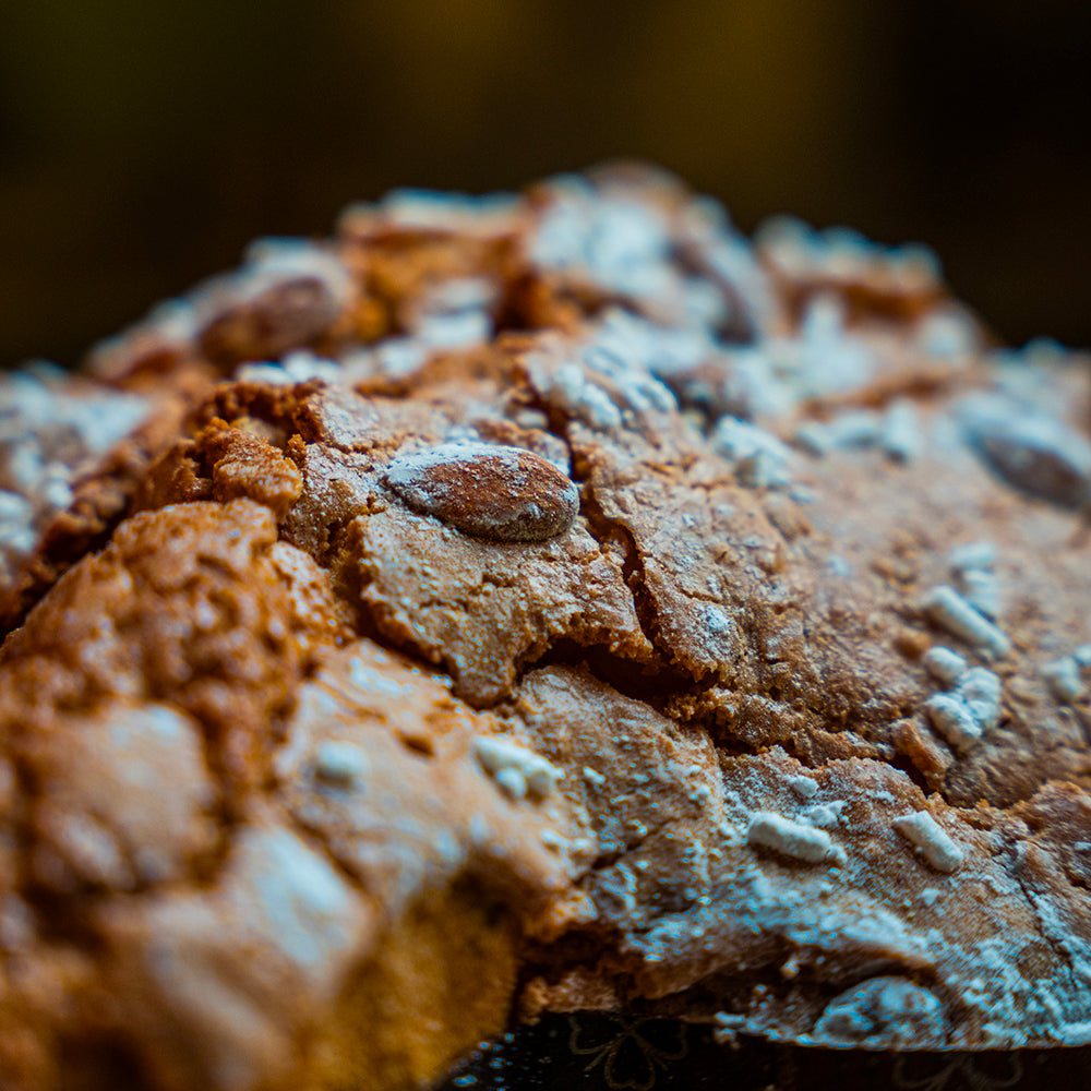 Colomba Oltre (Classica)
