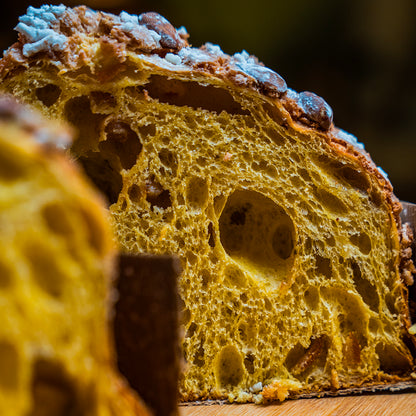 Colomba Oltre (Classica)