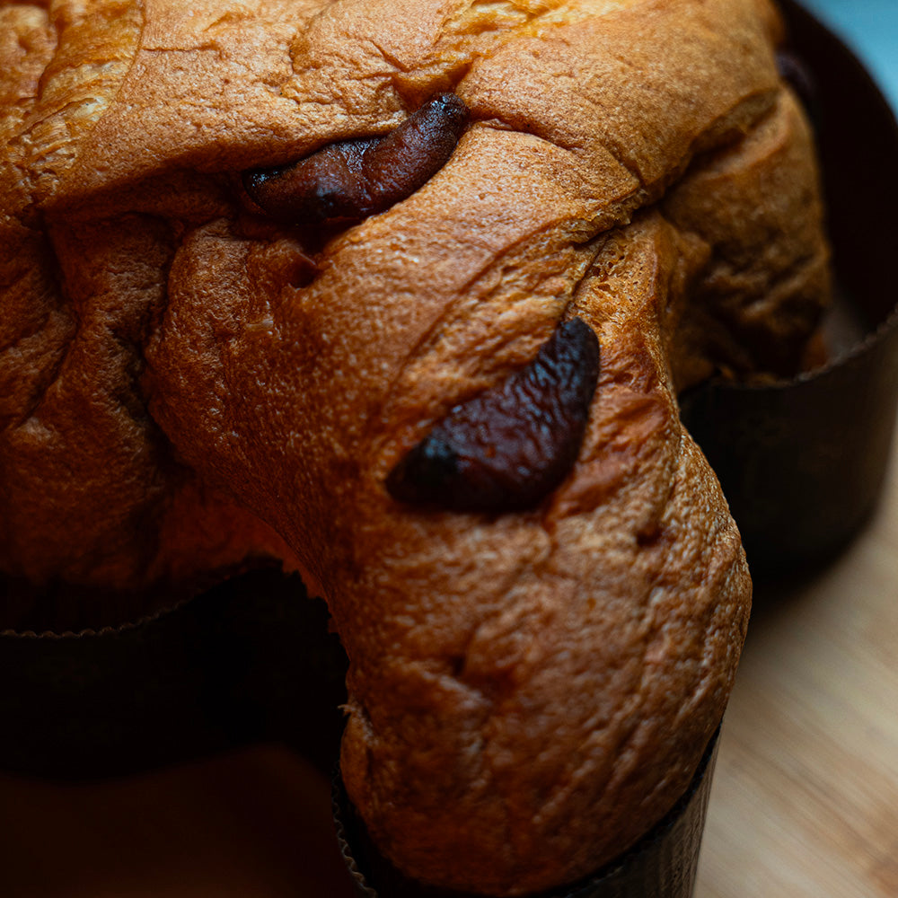 Colomba Incanto (Limoncello e Albicocche)