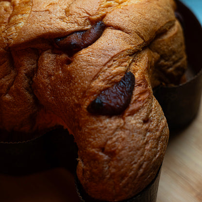 Colomba Incanto (Limoncello e Albicocche)